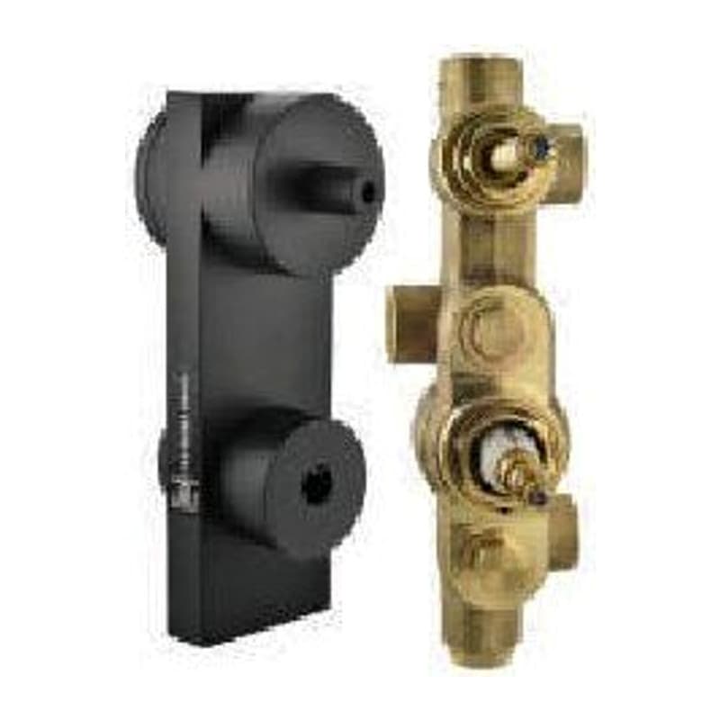 Aquamax Concealed Body of Thermostatic Shower Mixer with 2-way diverter, But Exposed Parts