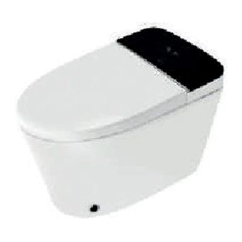 Seat Cover, Fully Automatic Rimless Floor Mounted WC with Electronic PP Seat Cover - Accessories and Auto Open, Adjustable Seat, Air, Water Temperature, Night Light, Fixing Accessories Set, Size: 390x685x465 mm, S Trap- 300 mm