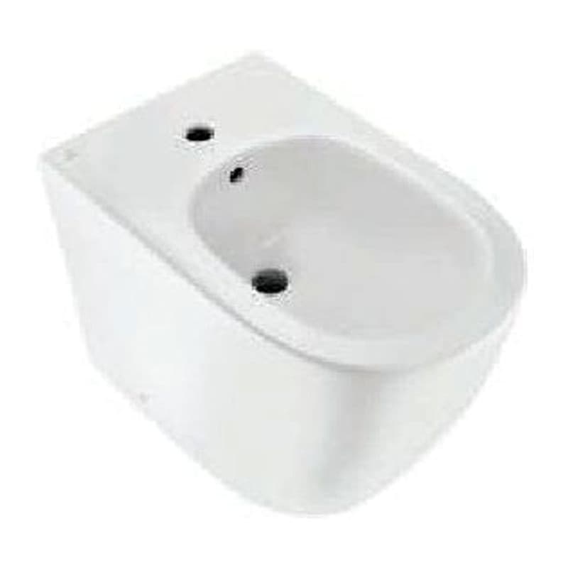 Floor Mounted Bidet with Fixing Accessories, Size: 360x580x430 mm